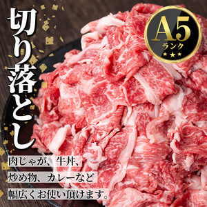 s700  ＜定期便・全3回＞鹿児島県産 北さつま高崎牛 切り落とし肉(計3kg(約500g×2P×3回) 国産 九州産 黒毛和牛 A5ランク A5等級 赤身 雌牛 切落し 切り落し 切落とし 牛肉 