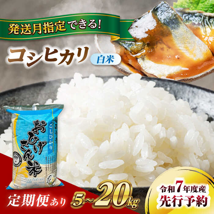 【ふるさと納税】＼選べる容量・発送月・回数／令和7年度産 愛知県 コシヒカリ 5kg 10kg 20kg 選べる発送月 選べる回数 1回 3回 ブランド米 銘柄米 精米 白米 米 お米 こめ コメ ご飯 ごはん 小分け 定期便 先行予約 愛西市/脇野コンバイン[AECP021]