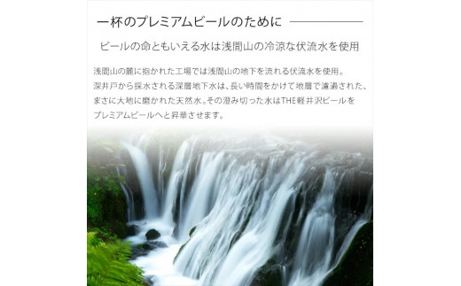 24缶〈プレミアム・ダーク〉 THE軽井沢ビール  クラフトビール 地ビール  信州 ご当地 お取り寄せ