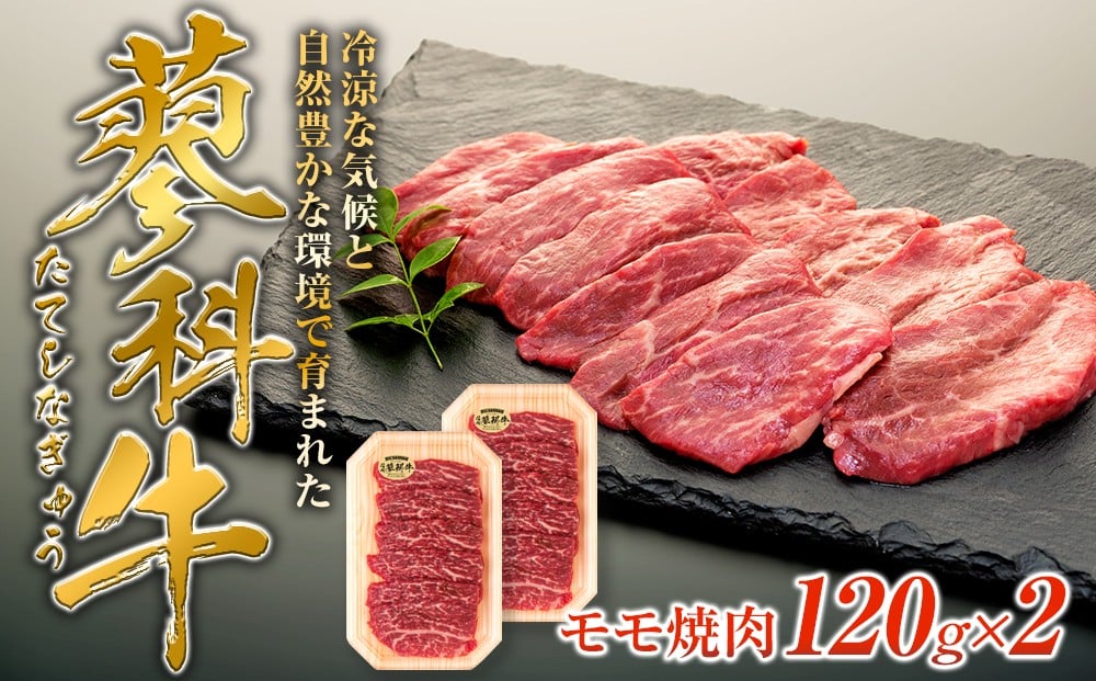 
            蓼科牛モモ焼肉120g×2　　　　　
          