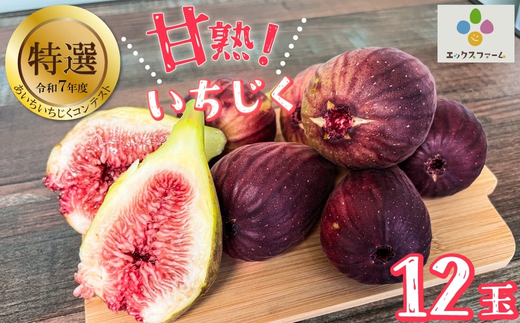 
            エックスファーム朝採り甘熟いちじくプレミアム（12玉）特選  桝井ドーフィン フルーツ 果物 いちじく 無花果 コンテスト 完熟 甘い 美容 健康 食物繊維 ミネラル H164-008
          