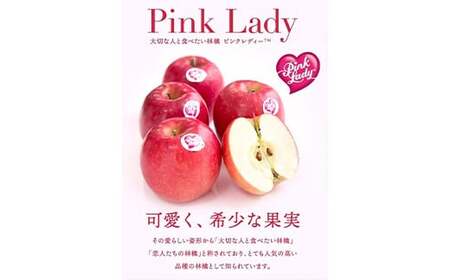 【2026年3月発送開始】希少品種ピンクレディ 山形県産 りんご（ピンクレディー）2kg 化粧箱入り FSY-2595