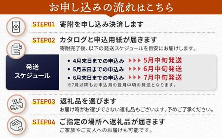 えらべるカタログ 10万円コース あとから選べる 飛騨牛 お米 家具 木工 カレー ラーメン 色々選べる カタログ 選べる 定期便 フルーツ 果物 肉 野菜 焼肉 あとからセレクト 【飛騨高山 高山市