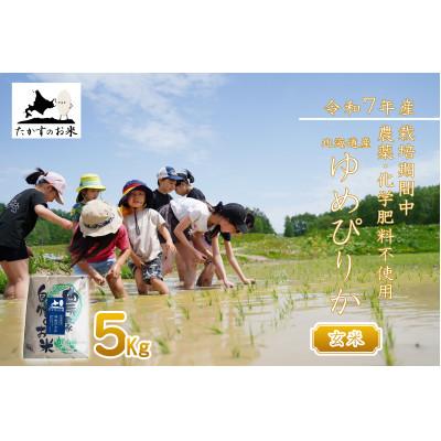 ふるさと納税 鷹栖町 【令和7年産新米予約】北海道産 栽培期間中農薬不使用米「ゆめぴりか」5kg(玄米)
