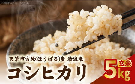 S150-005_天草方原産　清流米　コシヒカリ　玄米5キロ