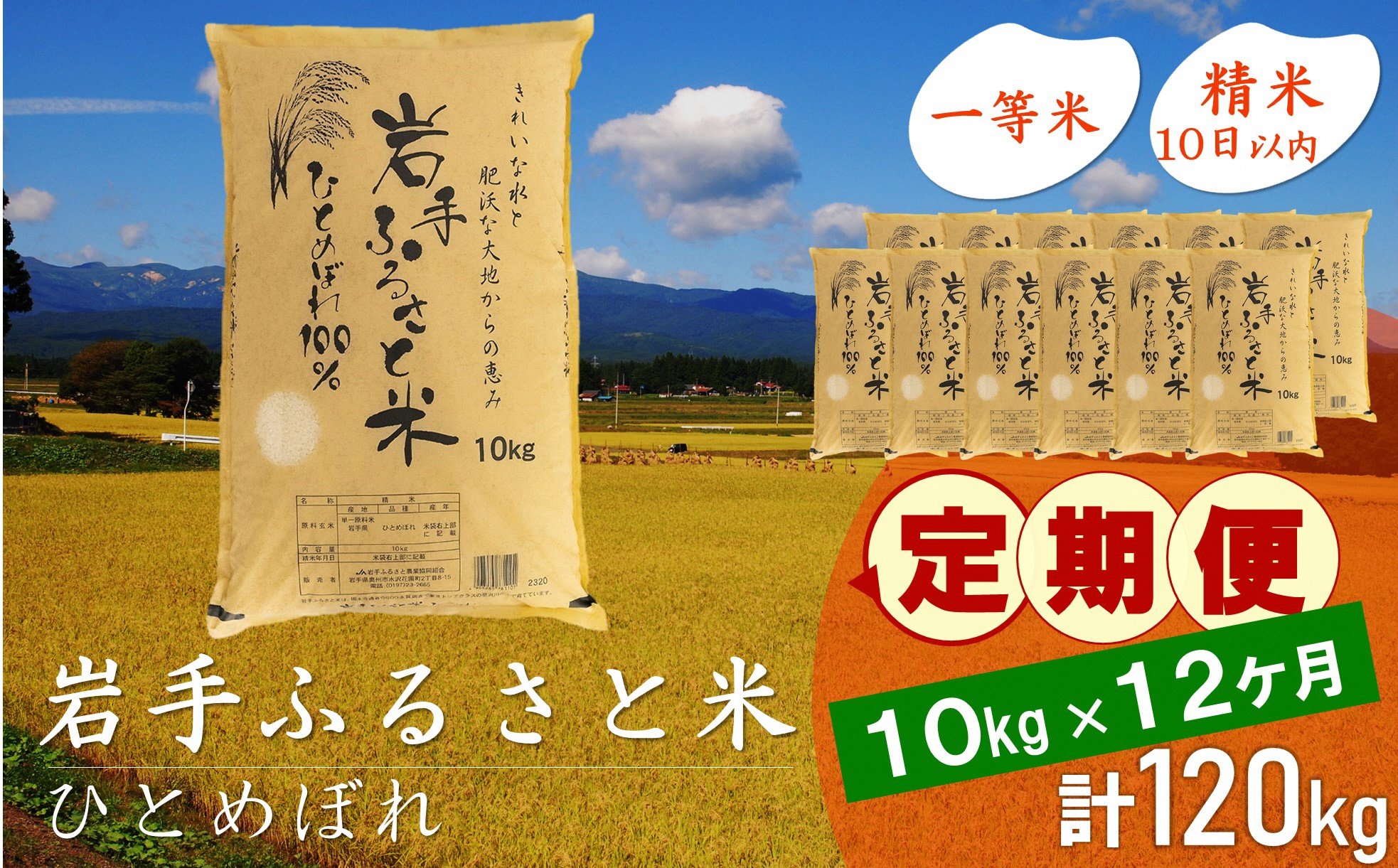 3人に1人がリピーター!☆全12回定期便☆ 岩手ふるさと米 10kg×12ヶ月 令和6年産 一等米ひとめぼれ 東北有数のお米の産地 岩手県奥州市産【配送時期に関する変更不可】 [U0159]