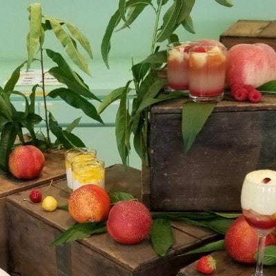 【お盆に喜ばれる贈り物】マンゴーネクタリンやみつきリピーター続出中2025年8月中旬より発送【配送不可地域：離島・北海道・沖縄県・中国・四国・九州】