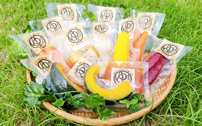 野菜 詰め合わせ セット 旬の野菜 温野菜 サラダ 煮物 野菜セット 下処理済み 小分け 使い切り 国産 九州産
