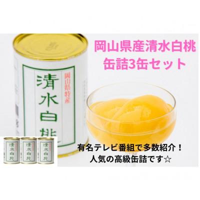 ふるさと納税 岡山市 岡山県産清水白桃缶詰　3缶セット