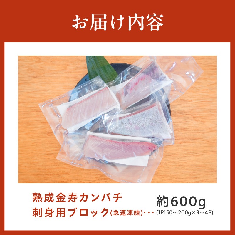 熟成金寿カンパチ刺身用ブロック600ｇ（急速凍結） N015-YA591