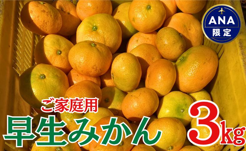 早生みかん 3kg ご家庭用 農園直送 先行予約 【11月以降順次発送予定】 愛媛 数量限定 愛媛県産 人気 柑橘 伊予市｜ A99