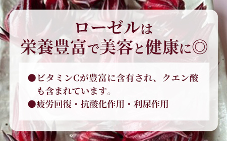 【先行受付】生ローゼル約１キロ - 2025年11月以降順次発送 ハイビスカスローゼル フレッシュ ハーブ ビタミン ミネラル クエン酸 アントシアニン ポリフェノール 国産 沖縄県産 沖縄県 八重瀬