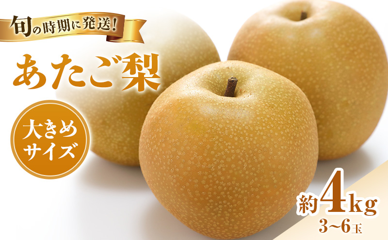 【2026年先行受付】 梨 あたご梨  秀品 約4kg(3～6玉) 岡山名産 日本一大きな梨 なし ナシ お歳暮 ギフト 御礼 プレゼント 御礼 御祝 御供 果物 くだもの フルーツ