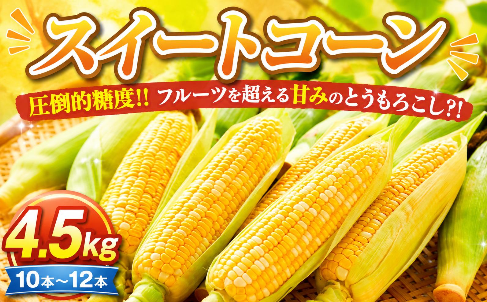 
                  【先行予約】【 とうもろこし 】 スイートコーン ドルチェドリーム 4.5kg 10本～12本  【2026年5月下旬ごろから配送開始】 高糖度 果汁 とうもろこし トウモロコシ 甘い 野菜 新鮮 旬の味覚 夏やさい 冷蔵 旬 こーん コーン バーベキュー BBQ アウトドア キャンプ 産地直送 福岡県 柳川市 杏里ファーム
                