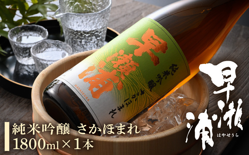 
                  【お中元】 早瀬浦 純米吟醸 さかほまれ 1800ml × 1本 【入手困難 日本酒 就職祝い 転職祝い ハレの日 ギフト プレゼント お祝い お返し お礼 お中元 お歳暮 父の日 敬老の日】[m06-a015]
                