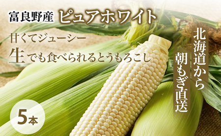 とうもろこし ピュアホワイト 生で食べれる 富良野産【5本 L～2Lサイズ】
