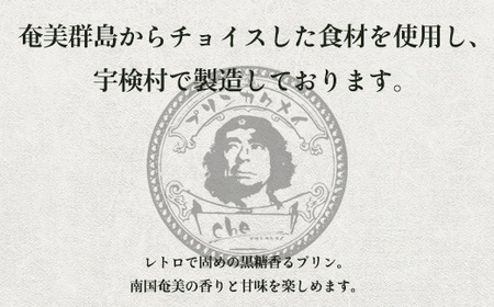 奄美大島 島バナナ パンナコッタ（6個入り）こだわり 素材 人気 スイーツ デザート 洋菓子 奄美大島 宇検村 鹿児島【プリン専門店che】