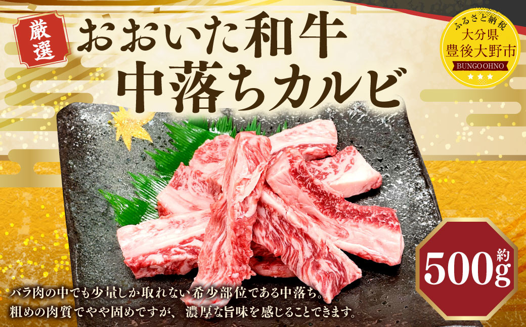 
                  173-1178 おおいた和牛 中落ちカルビ（500g）和牛 カルビ 牛肉 冷凍 肉 焼肉 鉄板焼 BBQ バーベキュー お取り寄せ グルメ 
                