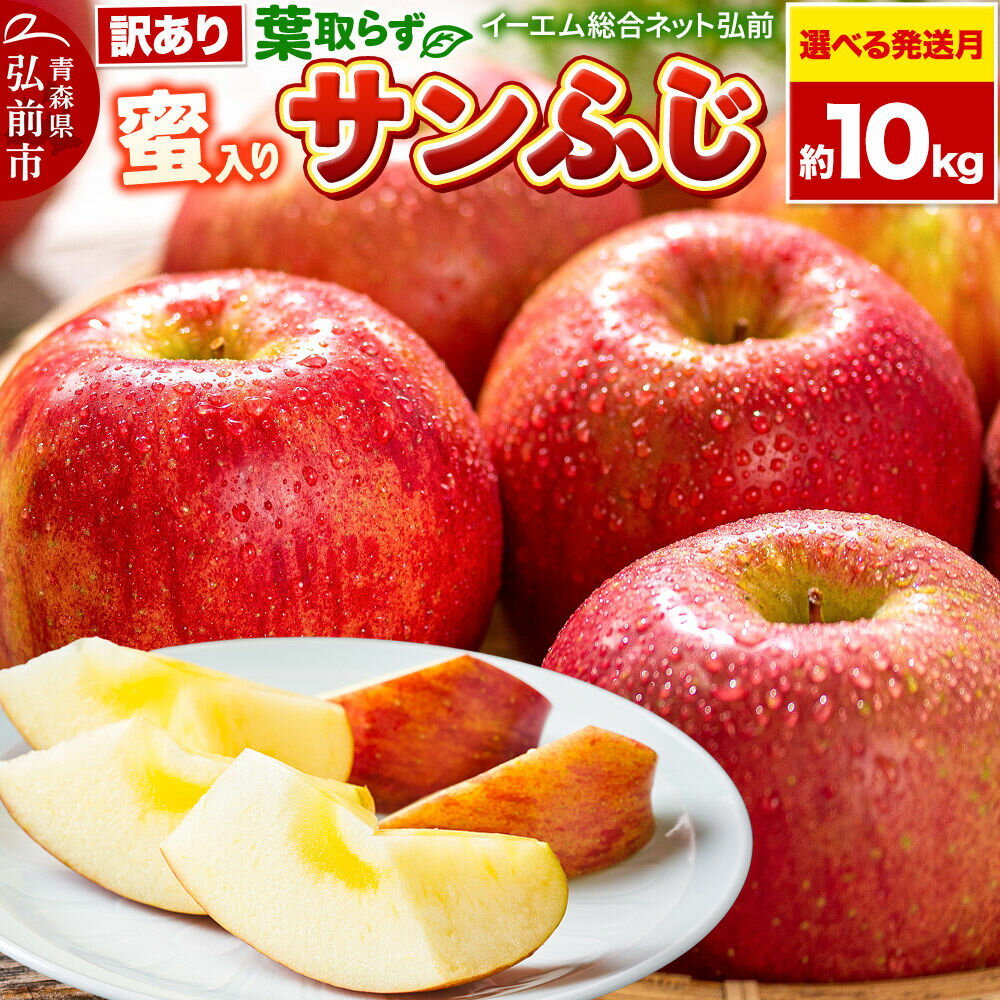 【ふるさと納税】りんご【選べる 26年11月下旬／12月 発送】りんご 葉取らず サンふじ【訳あり】約10kg【蜜入り】糖度13度以上 EMりんご 林檎 リンゴ 果物 くだもの フルーツ 青森県 弘前市 不揃い 規格外 [先行予約 家庭用 産地直送]