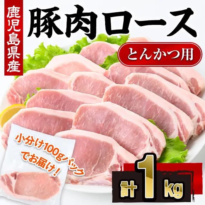 鹿児島県産 豚肉 ロース とんかつ (計1kg・100g×10P) 【株式会社羽根】A1081