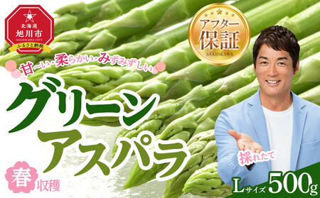【先行予約】春収穫グリーンアスパラLサイズ　約500g（2026年6月上旬から発送開始予定）| アスパラ 北海道_05529