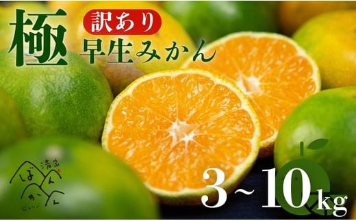 
【選べる】訳あり 愛媛みかん （ 極早生 ） 3kg・5kg・10kg【発送時期：９月下旬～１0月下旬】2S-Lサイズ サイズミックス 愛媛みかん 温州みかん 一番みかん 柑橘 みかん 少量 お試し 試供品 5000円 愛媛県 愛南町 清家ばんかんビレッジ
