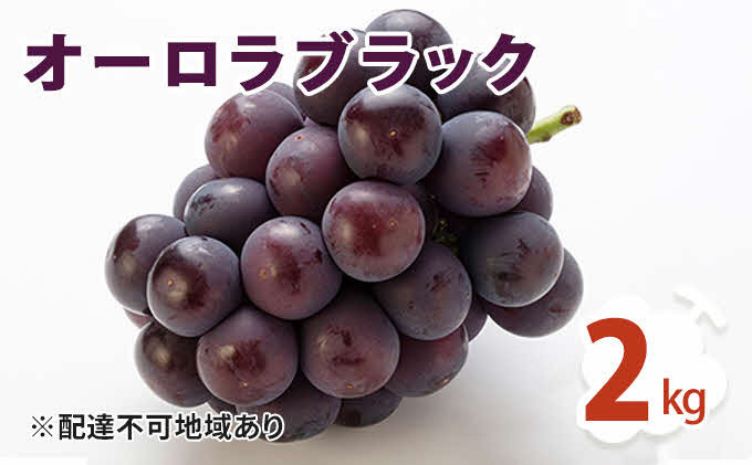 
[№5757-0242]オーロラブラック 2kg ぶどう 葡萄 フルーツ 果物 岡山県 岡山県産 2024年 先行予約
