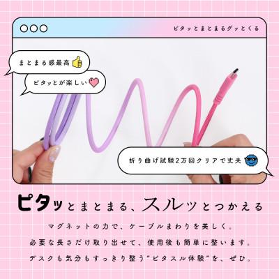 ふるさと納税 海老名市 マグネットケーブル グラデーション USB-A to USB-C (MOT-MGGAC100-FN) |  | 01
