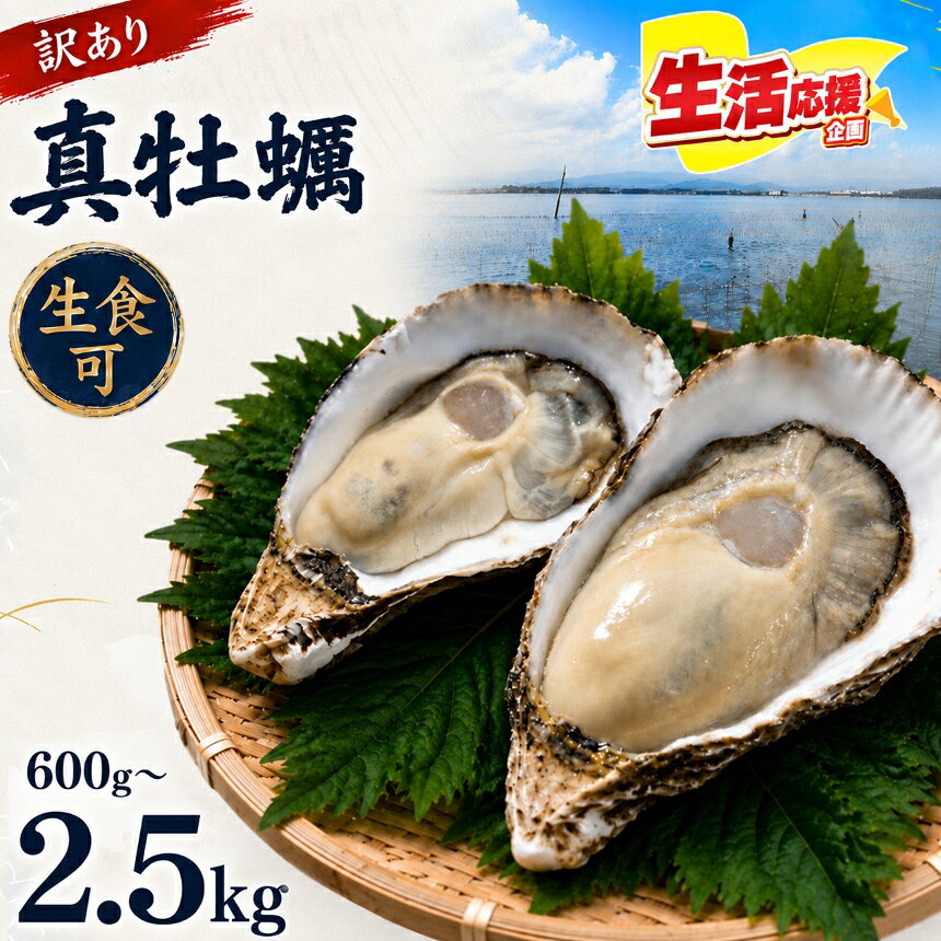 【ふるさと納税】【訳あり】殻付き真牡蠣 日付指定可 選べる 内容量 600g ～ 2.5kg | 牡蠣 カキ かき 真牡蠣 生食用 殻付き 海鮮 魚介 海のミルク 1.2kg 1.8kg おつまみ おかず 訳あり 家庭用 大分県 中津市