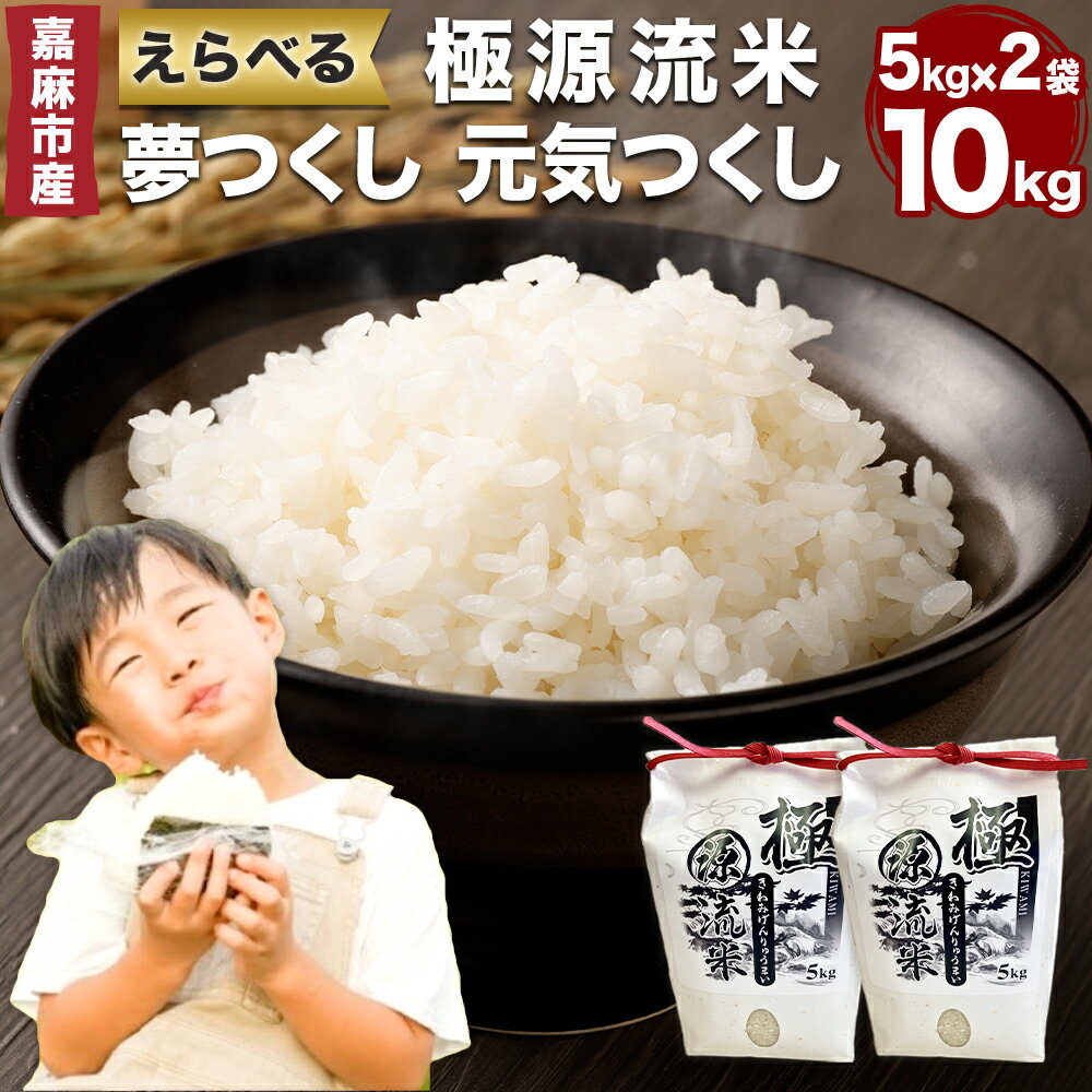 【ふるさと納税】極源流米 5kg×2袋 合計10kg お米 白米 ブランド米 令和7年産 精米 単一原料米 上流栽培米 源流米 選べる 夢つくし 元気つくし 常温 少量生産 福岡県産 嘉麻市 九州産 国産 送料無料
