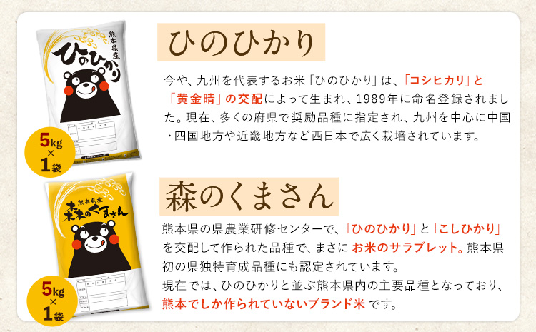 米 無洗米 令和6年産 新米 特A受賞品種 ひのひかり 森のくまさん 米 送料無料 10kg 食べ比べ ヒノヒカリ 厳選 熊本県産(長洲町産含む) 米 お米 森くま 《11月-12月より出荷予定》長洲