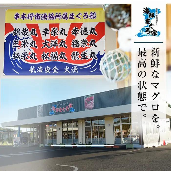 マグロ！メバチマグロ 600g（中トロ 200g 赤身 400g）天然【00-041-02】