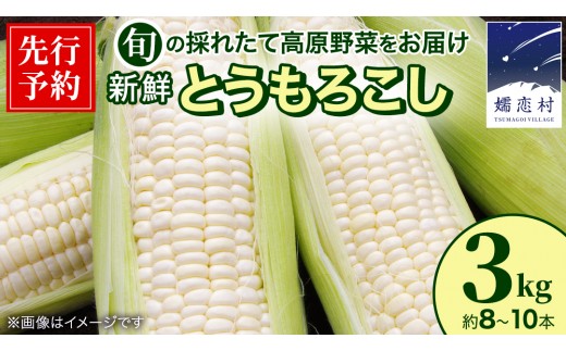 
                  【8月下旬発送開始】とうもろこし ホワイトショコラ 3kg（8～10本）　野菜 旬の野菜 大粒 夏野菜 嬬恋村 高原野菜 先行予約 [BT006tu]
                