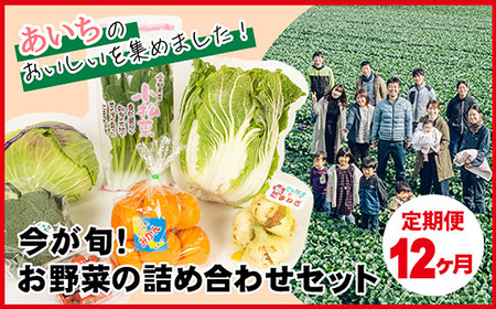 【12ヶ月定期便】今が旬！お野菜の詰め合わせセット No.217