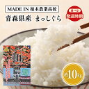 【ふるさと納税】≪発送時期が選べる≫【MADE IN 柏木農業高校】令和6年産 まっしぐら 約10kg 【青森県 平川市】11月中旬頃発送 1月中旬頃発送 お米 米 コメ 精米 あおもり米 白米 ごはん ご飯 青森県産 平川市産 レビューキャンペーン