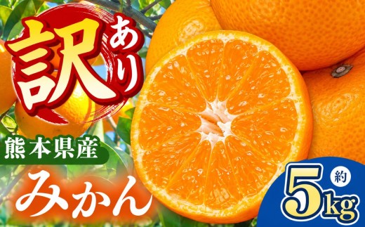 訳あり みかん 5kg 大小混合 果物 熊本県なごみ町産  | 熊本県 熊本 くまもと 和水町 なごみまち なごみ みかん ミカン 蜜柑 柑橘 柑橘類 温州 果物 フルーツ 不揃い キズ スレ
