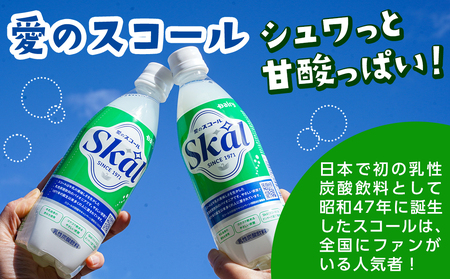 「ご当地ドリンク」愛のスコール・ヨーグルッペ3種セット_24-2301_(都城市) 乳性炭酸飲料 愛のスコール 500ml 乳酸菌飲料 ヨーグルッペ ヨーグルッペりんご ヨーグルッペマンゴー