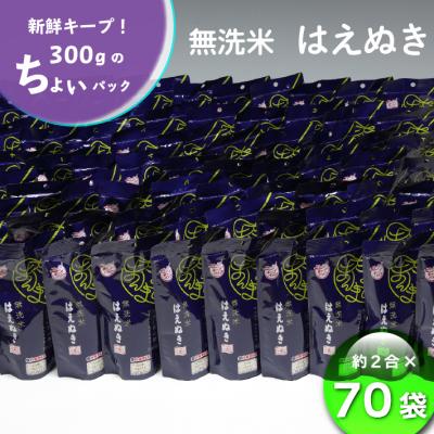 ふるさと納税 庄内町 山形県産 ちょいまんま 無洗米はえぬき 2合(300g)×70袋セット ブランド米 無洗米 白米