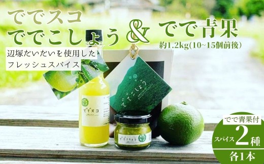 A60002 ＜先行予約受付中！2026年9月下旬以降準備が整い次第順次発送＞ででこしょう＆ででスコ でで青果 セット(ででこしょう30g・ででスコ65ml・でで（辺塚だいだい）約1.2kg) 香辛料 スパイス だいだい 橙 辺塚だいだい お取り寄せ ギフト 贈答【岸良リトリート】