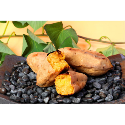 
            本場鹿児島さつまいも ＜白安納＞4kg　2024年10月上旬より発Z0-14【1487870】
          