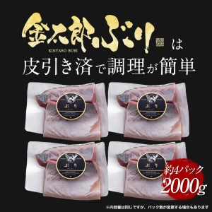 宮崎産 新海屋 鰤屋金太郎 金太郎ぶり 2000g　冷凍　N018-ZC903_2