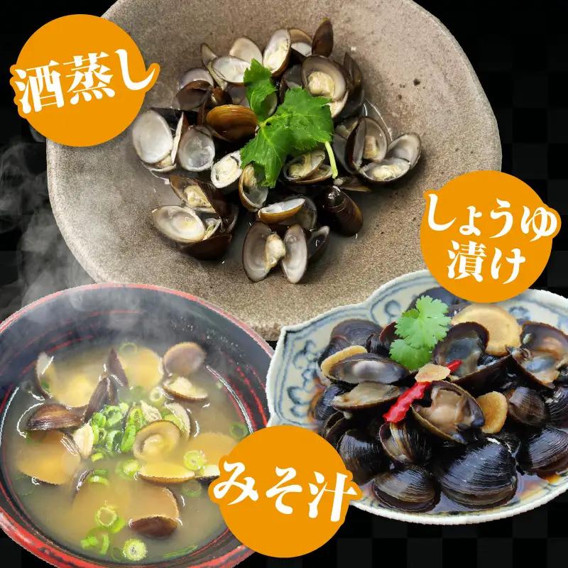 矢作　出世しじみ（レトルトパック130g×10P）・M145