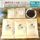 【ふるさと納税】珈琲焙煎工房結 コーヒー(豆) セレクトセット(コーヒー (豆) 100g×3袋 ＆ ドリップコーヒー (粉) 10g×2個)