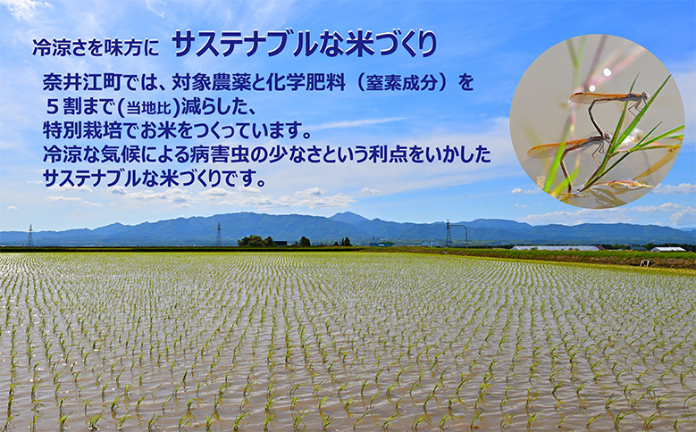 北海道奈井江町 特別栽培米 ななつぼし 10kg