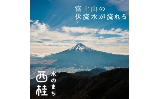 弱アルカリ水 富士山麓の溶岩水500ml 24本入／ミネラルウォーター お水 軟水 飲料 飲料水 ペットボトル 生活必需品 消耗品 備蓄 防災 災害対策 人気 まろやか おいしい 選べる 送料無料 山