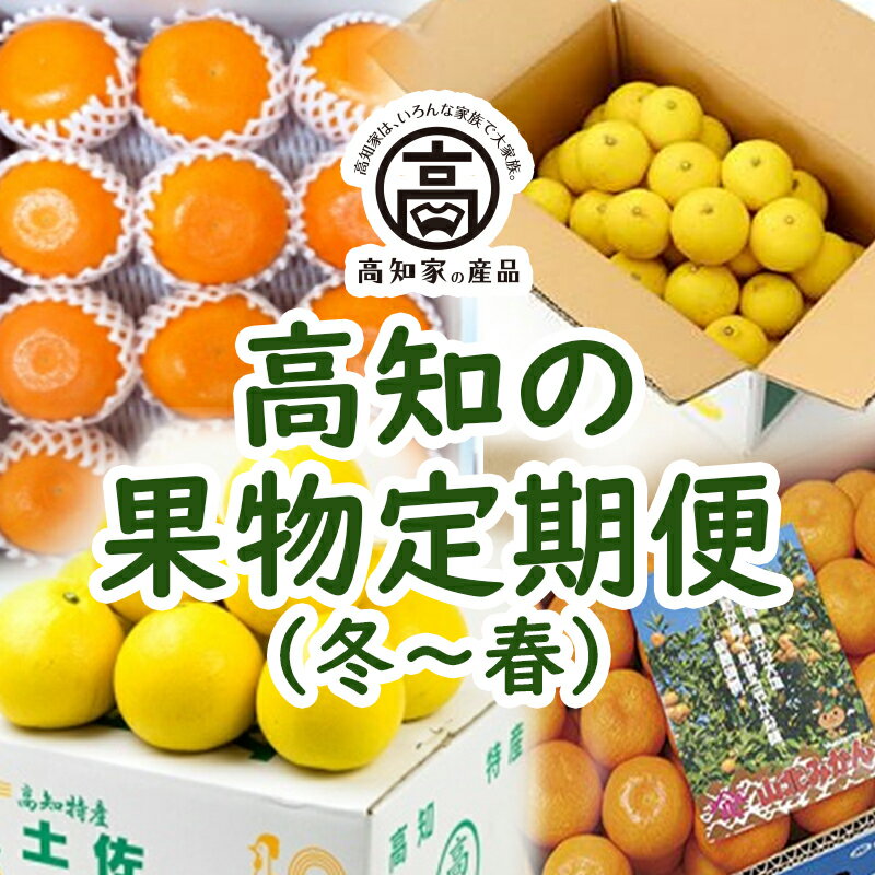 【ふるさと納税】 高知の果物 定期便(冬～春) 全4回（1月〜4月お届け） 高知 文旦 高知県 みかん