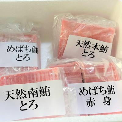 ふるさと納税 静岡市 とろざんまい! 鮪詰め合わせ(天然本鮪・天然南鮪・バチの三種のとろ入り)合計約500g |  | 03