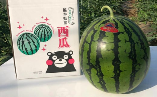 【先行予約】【初夏に実った贈り物】大玉 スイカ 約7kg【なかむら農園】 [ZBH001]