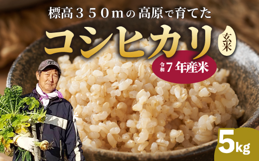 【令和7年新米】コシヒカリ 玄米 5kg こしひかり ごはん お米 米 181004