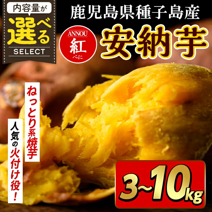 【ふるさと納税】＜期間限定！先行予約受付中！2025年10月下旬頃から12月中の発送予定＞内容量が選べる！種子島産 安納芋＜紅＞(3～10kg) 国産 安納芋 紅 種子島 芋 イモ さつま芋 安納いも 野菜 焼き芋 焼芋【うずえ屋】
